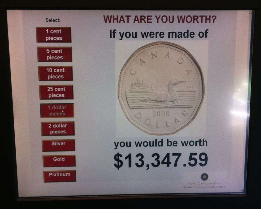 Royal Canadian Mint in Winnipeg What I Weigh in Loonies